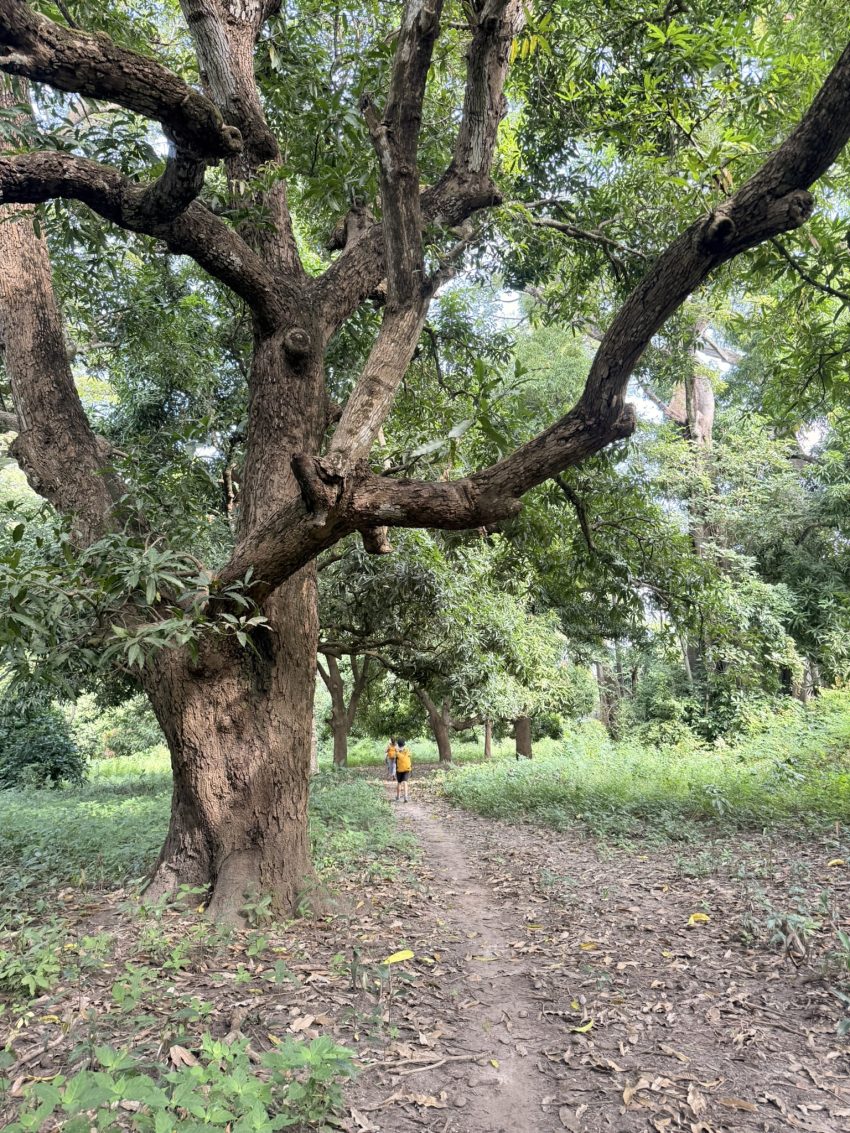 allotjament tionk essyl barca