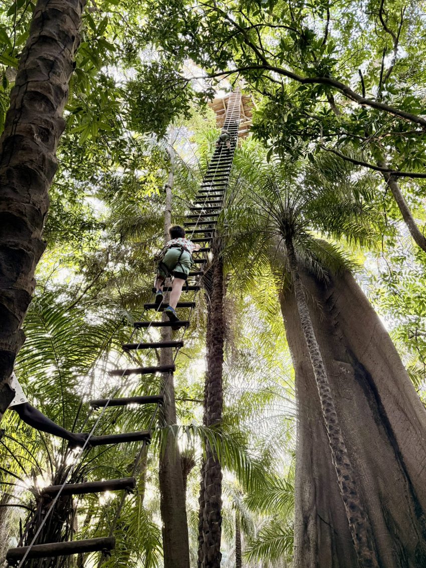 point saint georges 4