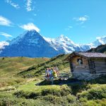 portada assegurances racc