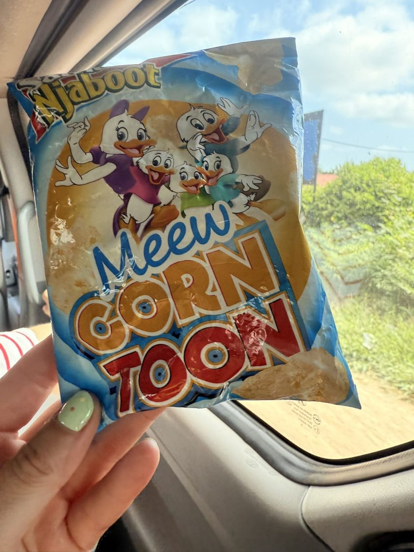 curiositats vainilla