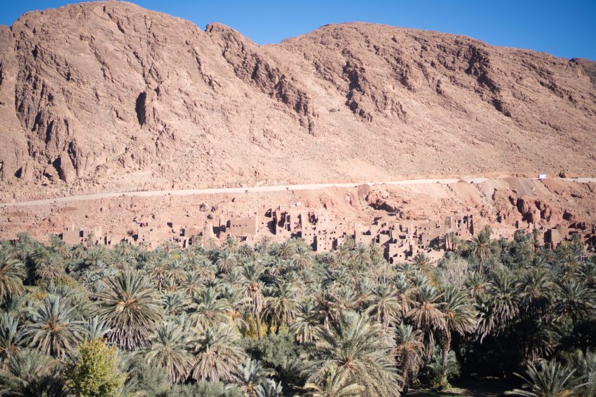 thingrir 2 evoto edited