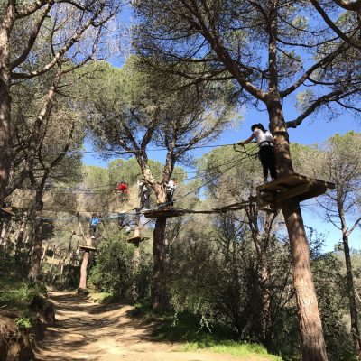 portada bisc vertical