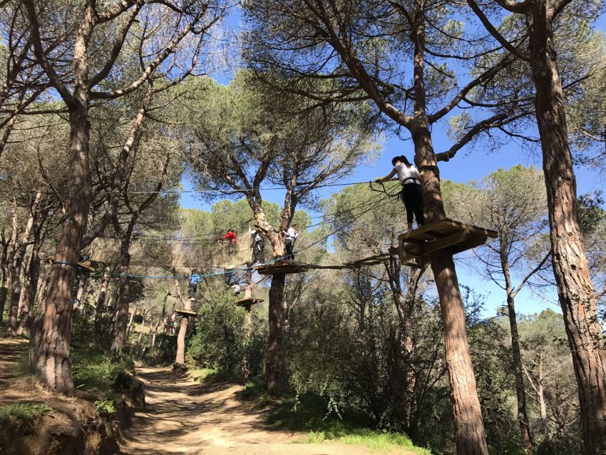 portada bisc vertical