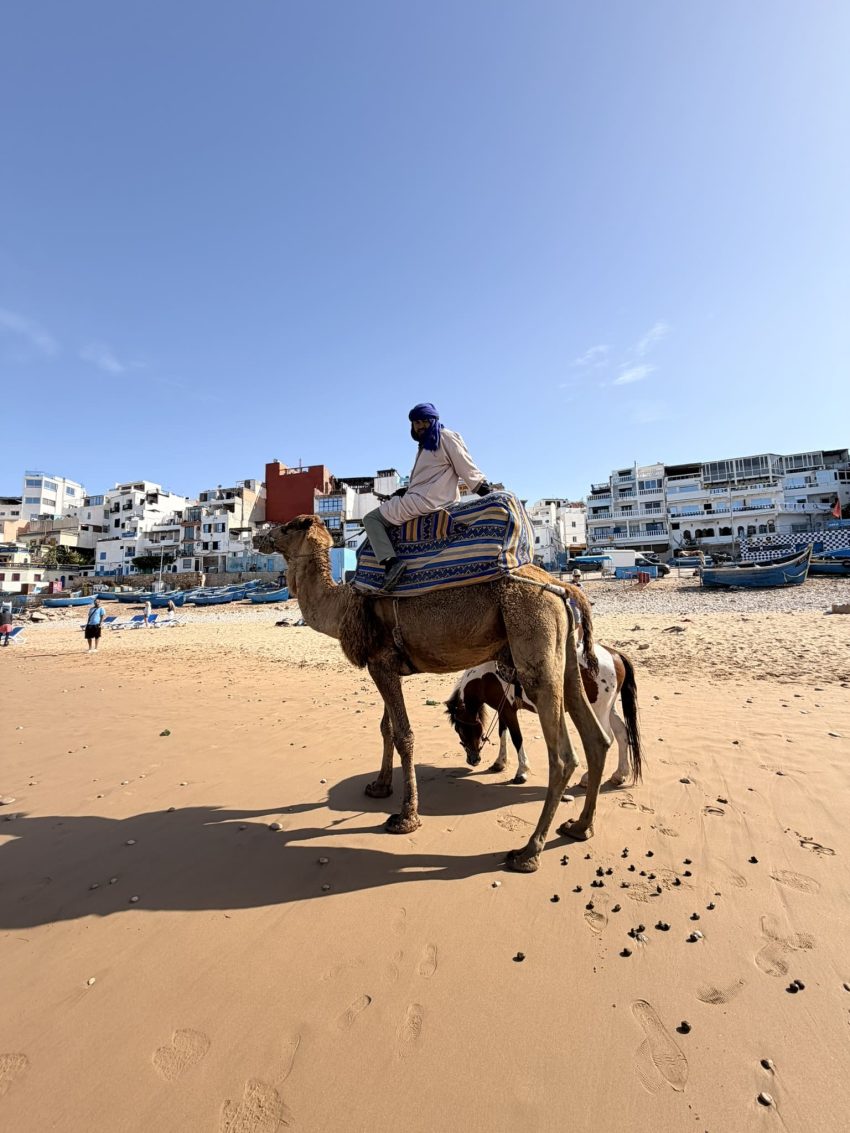 taghazout 2313 21231