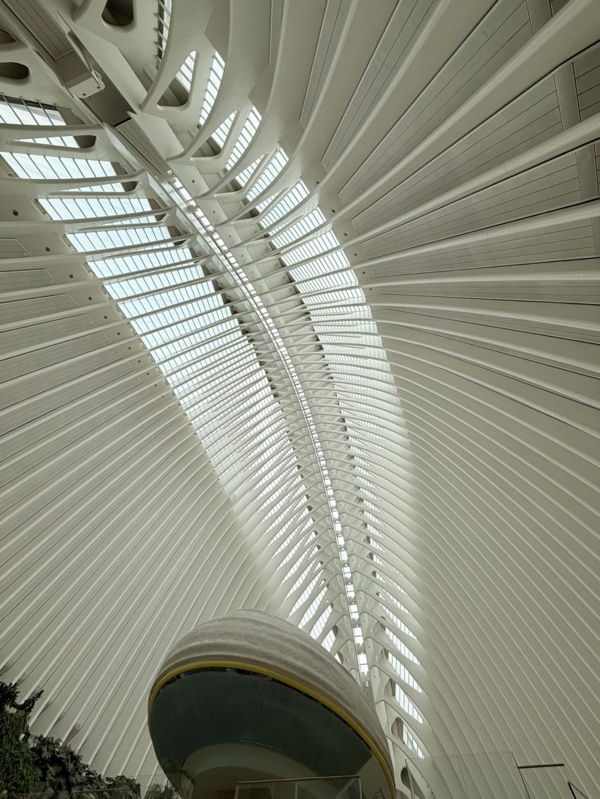 caixaforum valencia 2