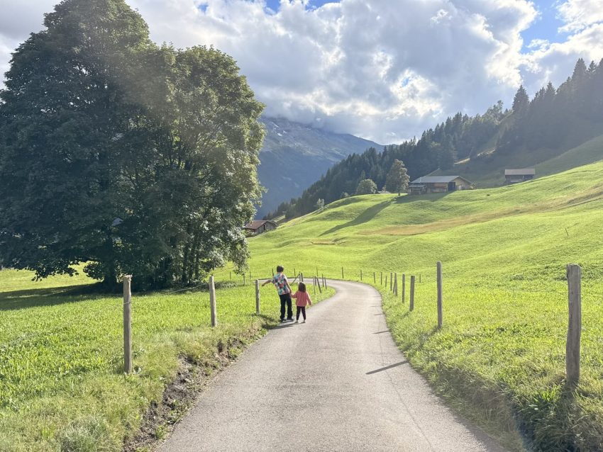 camins suïssa
