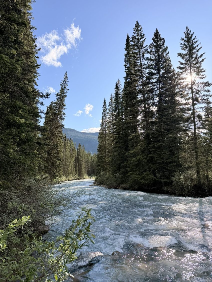 campground johnston canyon