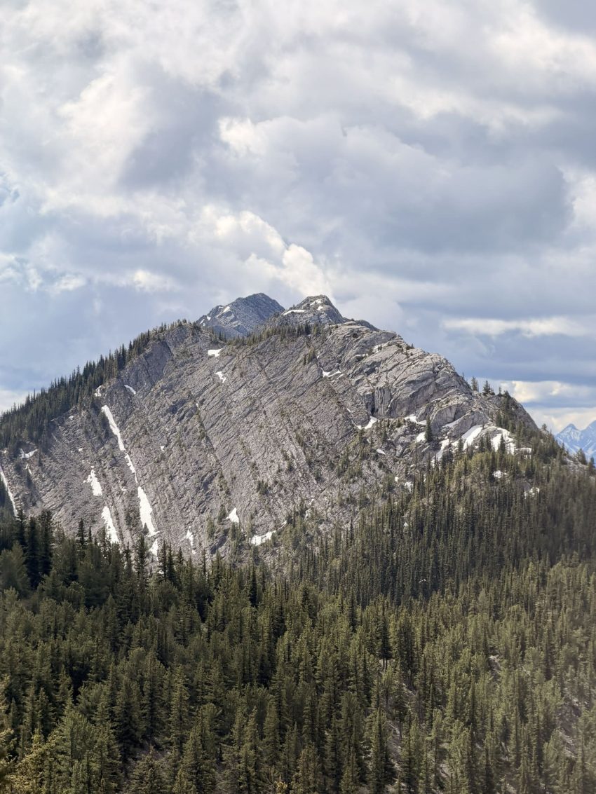 gondola banff vistes 3