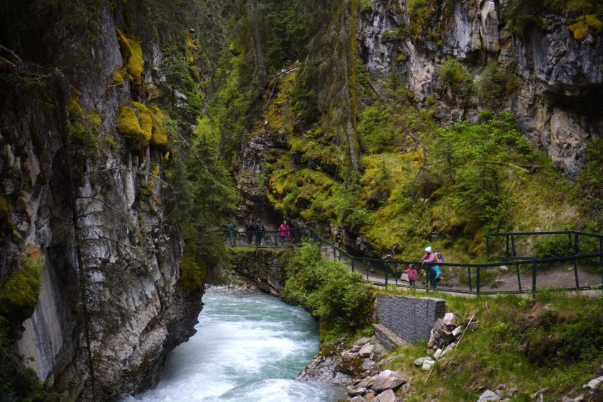johnston canyon bona