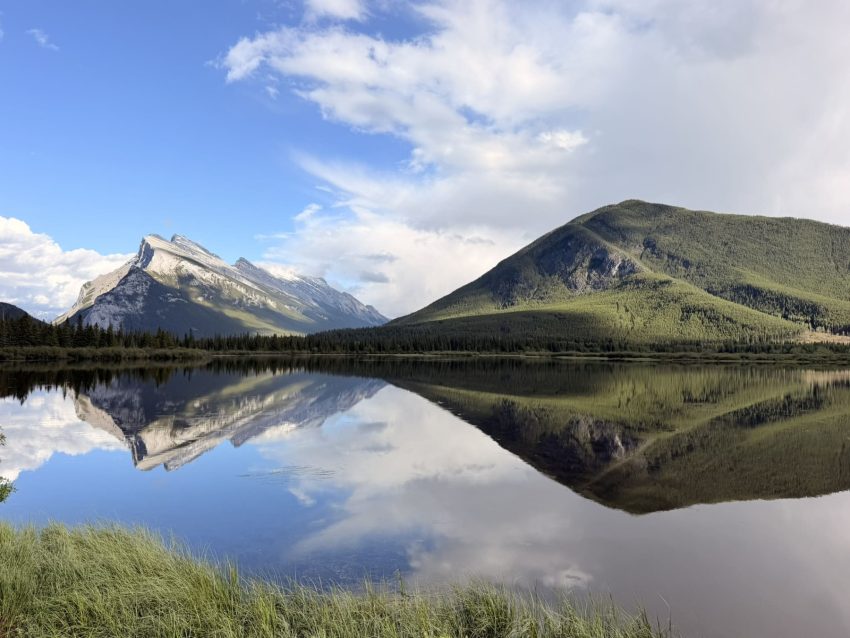 vermilion lake bona