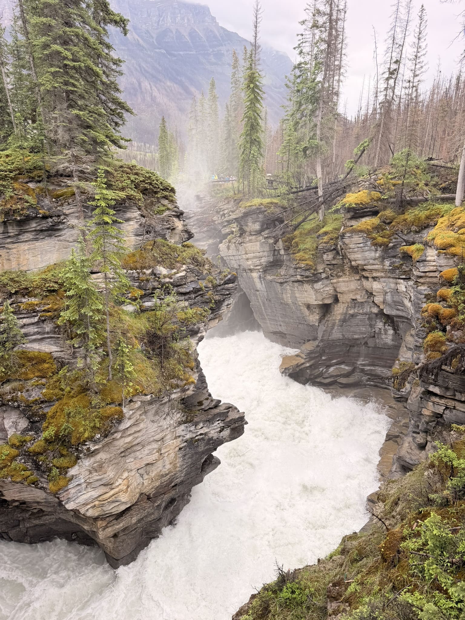 athabasca falls 2