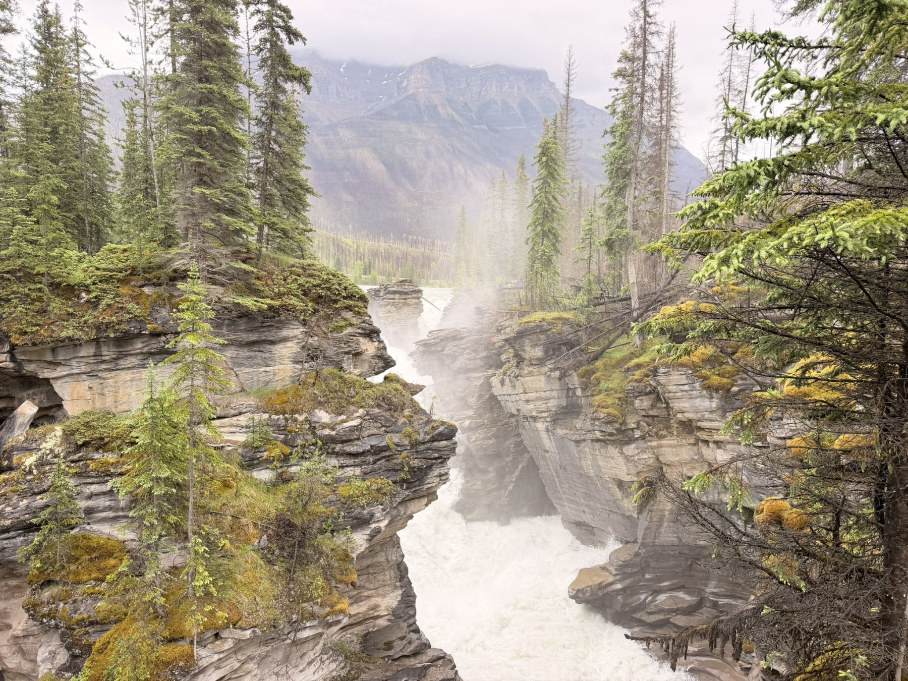 athabasca falls 3