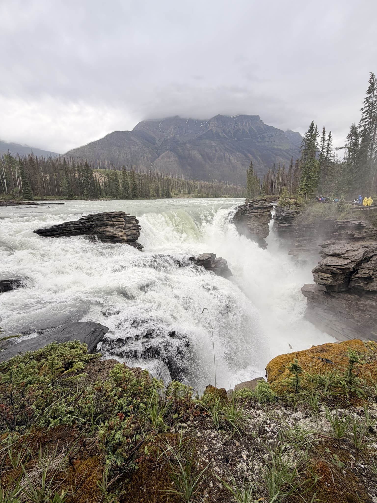 athabasca falls