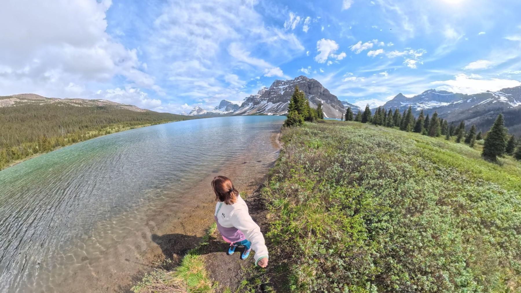 bow lakes norma