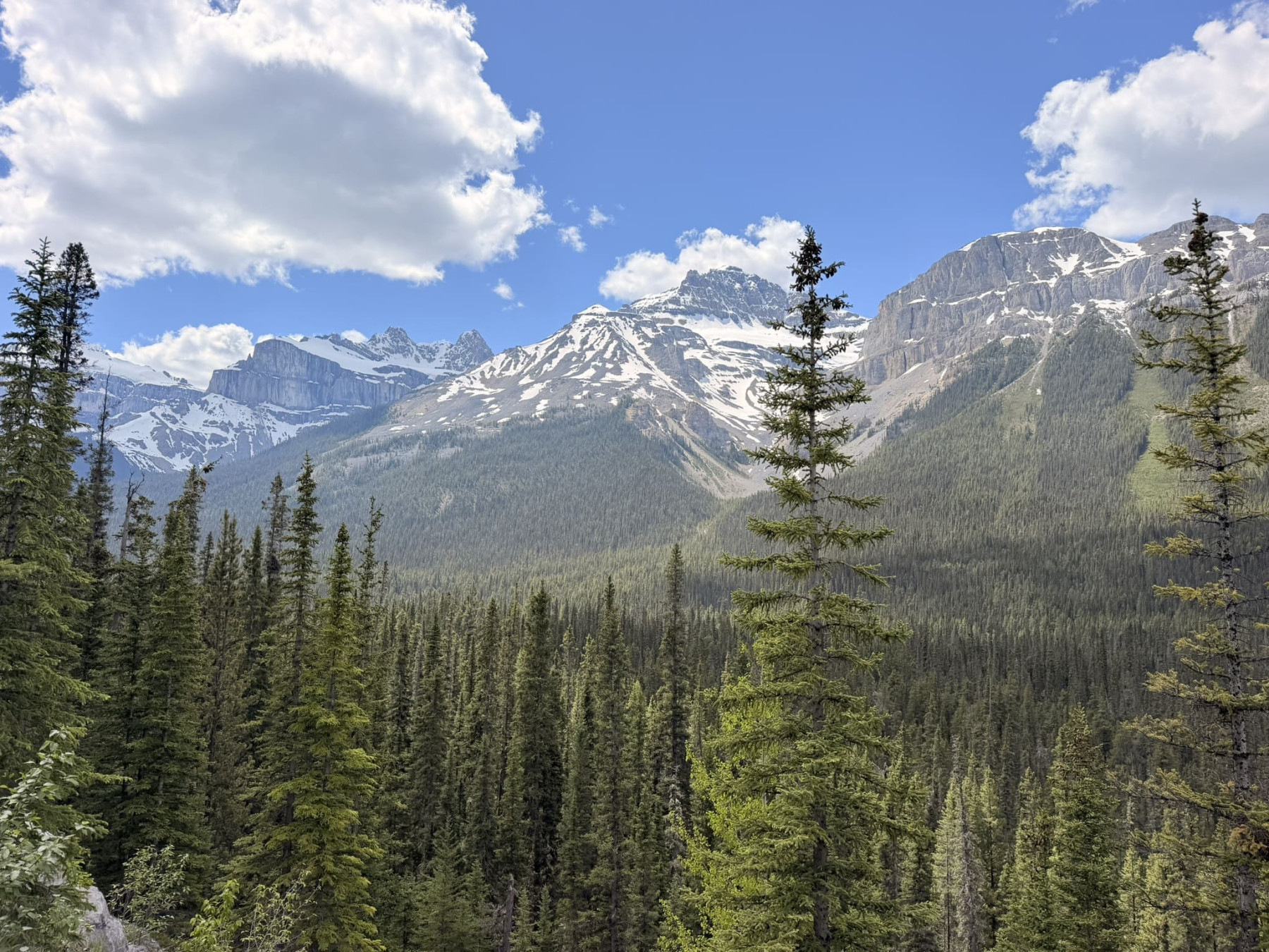 icefields paisatgeee