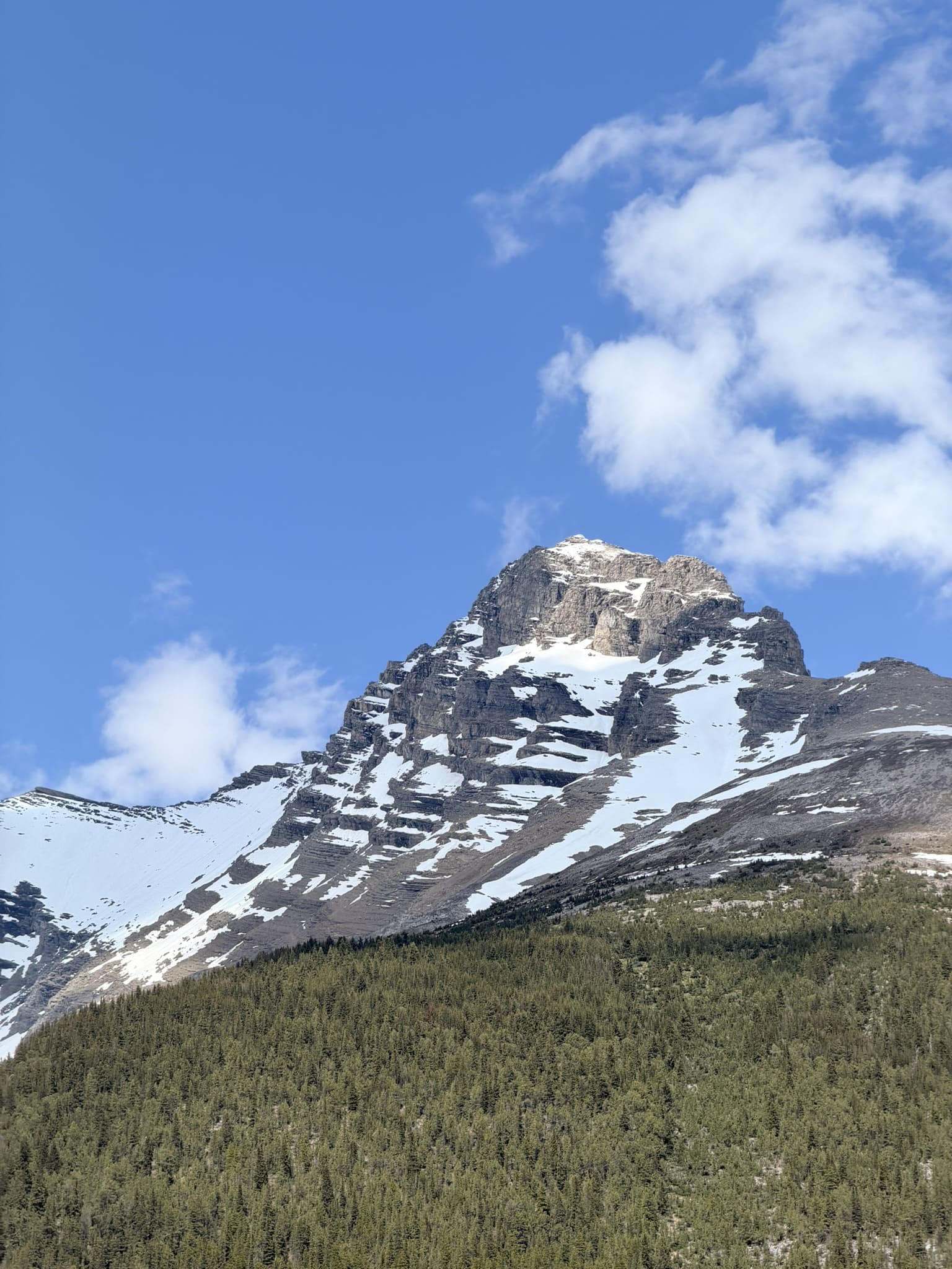 icefields