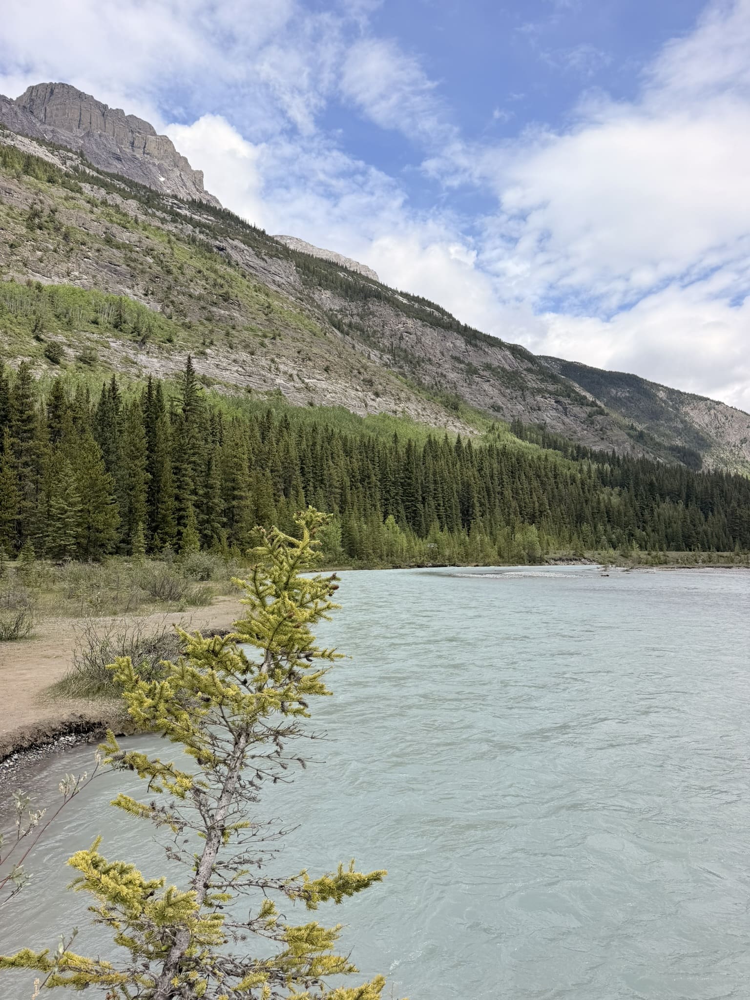 picnic icefield 2