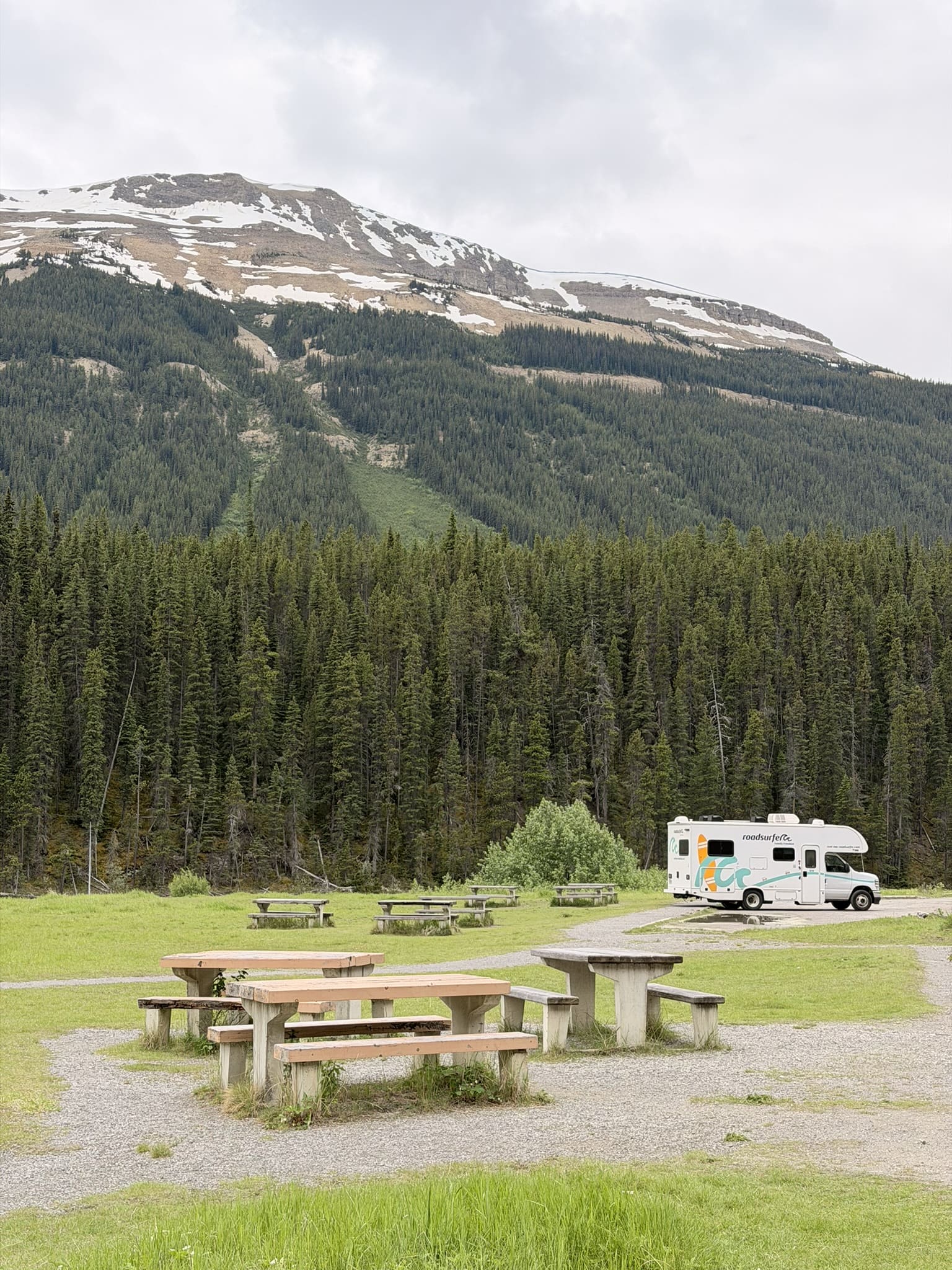 picnic icefields