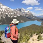 portada icefields 2