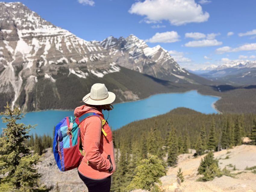 portada icefields 2