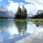 portada jasper