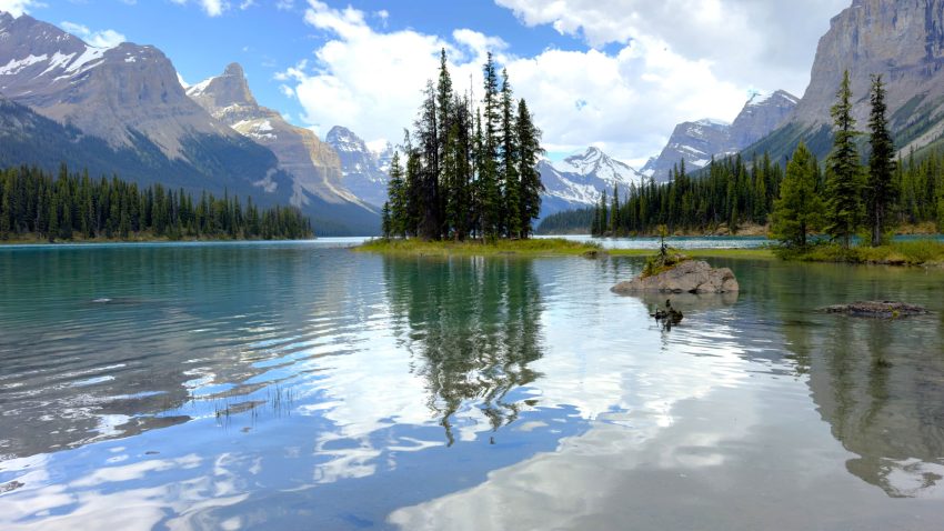 portada jasper