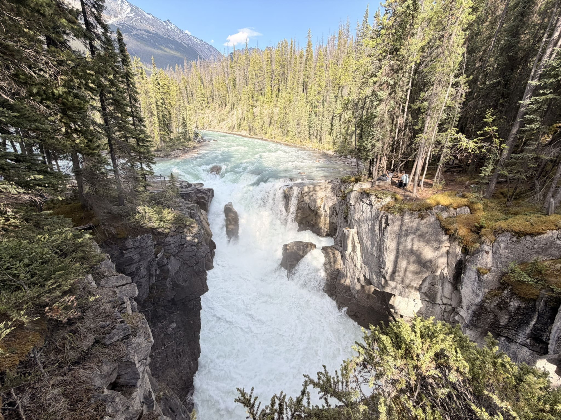 sunwapta falls 2