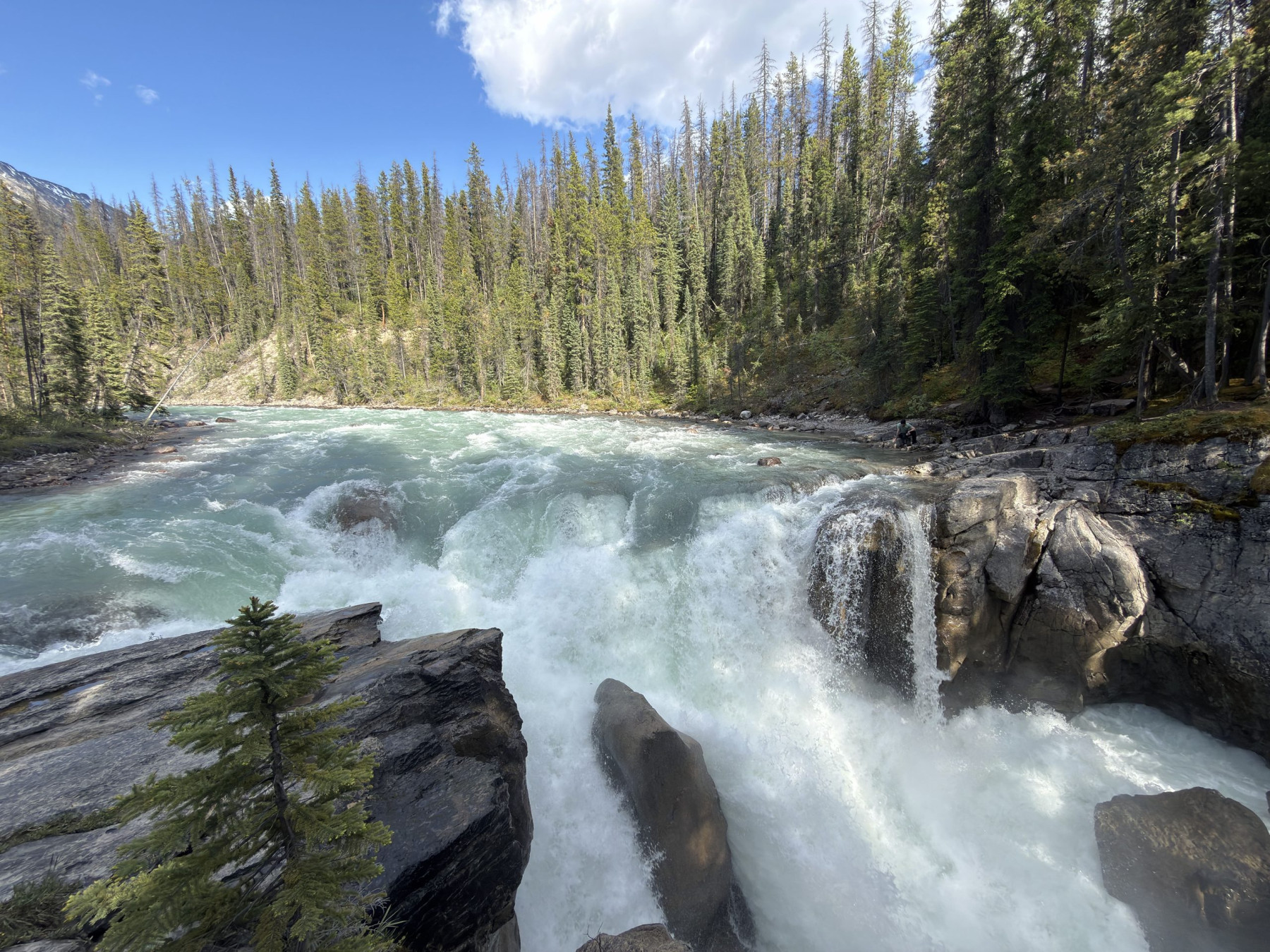 sunwapta falls