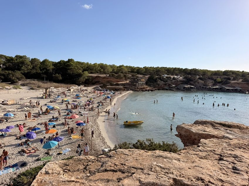 cala saona tarda