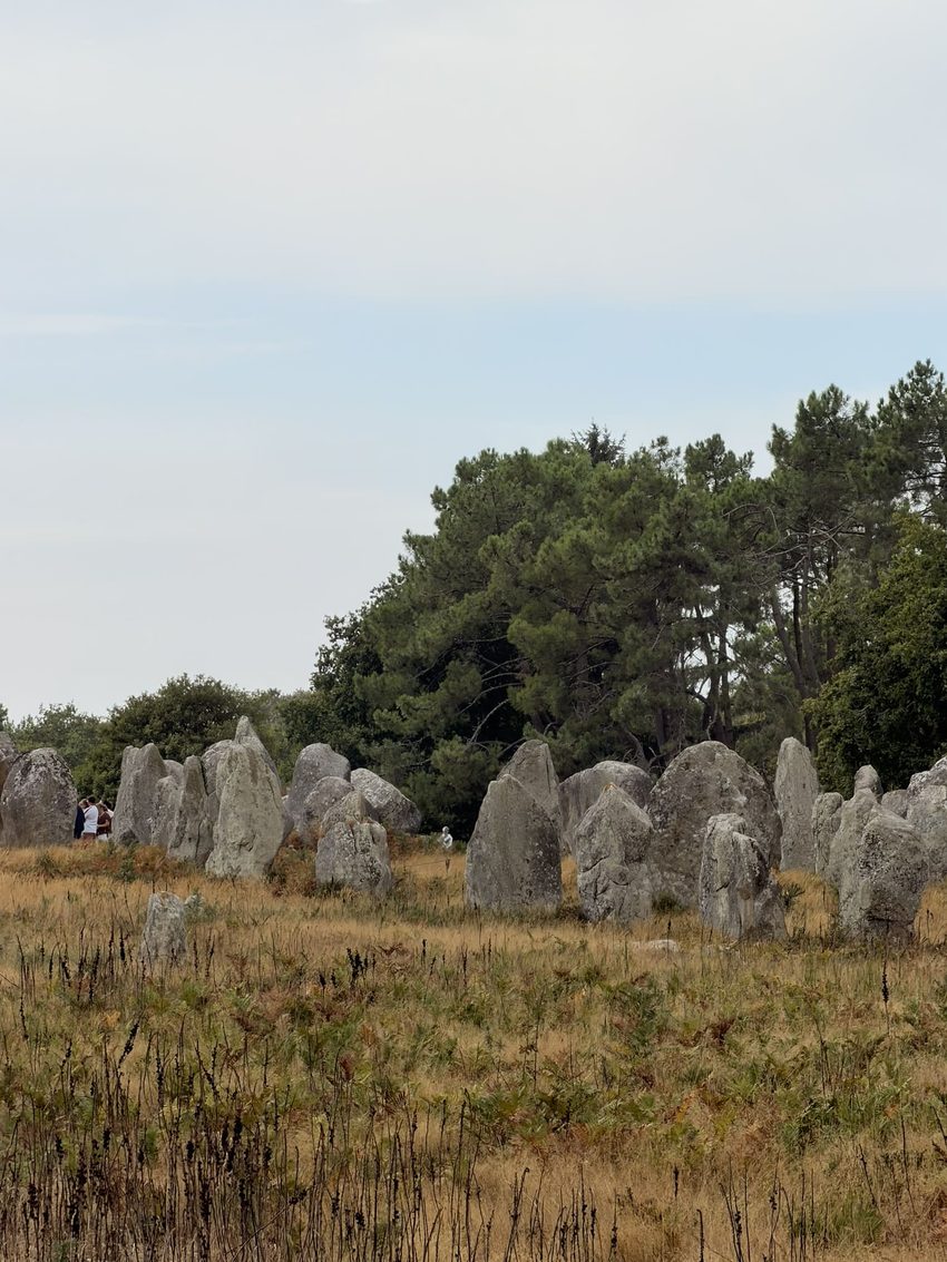 carnac alineacions