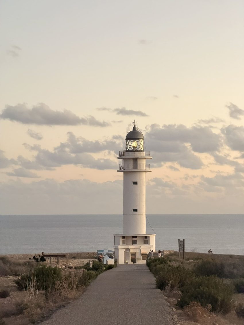 far cap de barbaria 3 54656