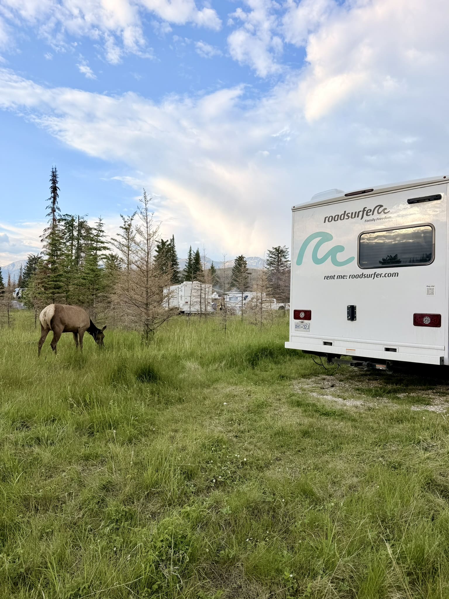 jasper camping elk