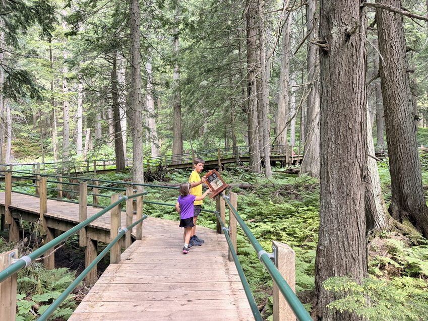 hemlock grove boardwalk
