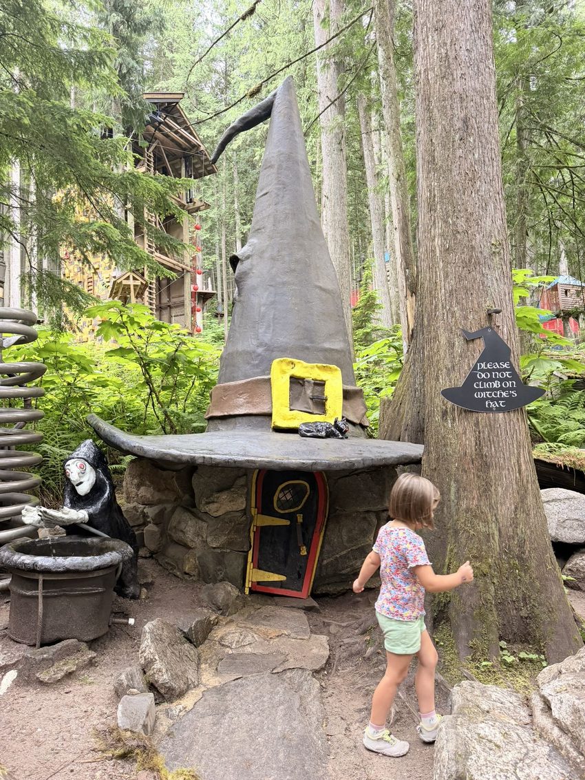 enchanted forest 65654