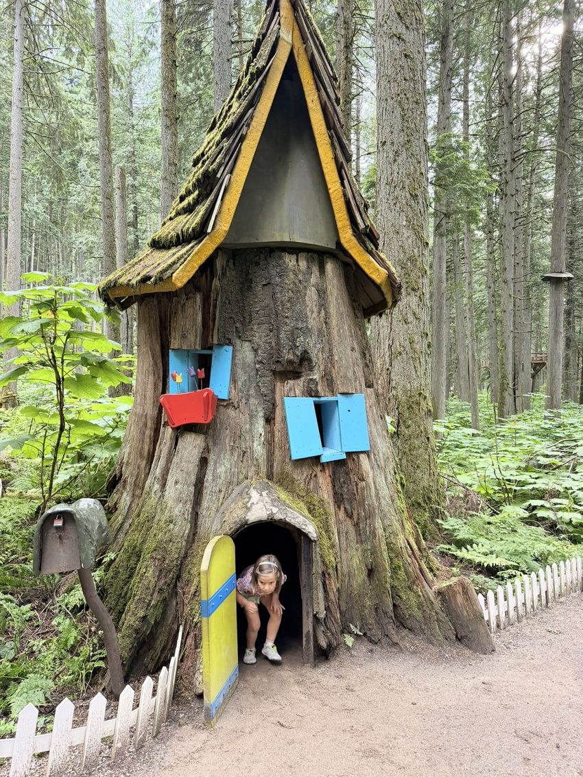 enchanted forest 7