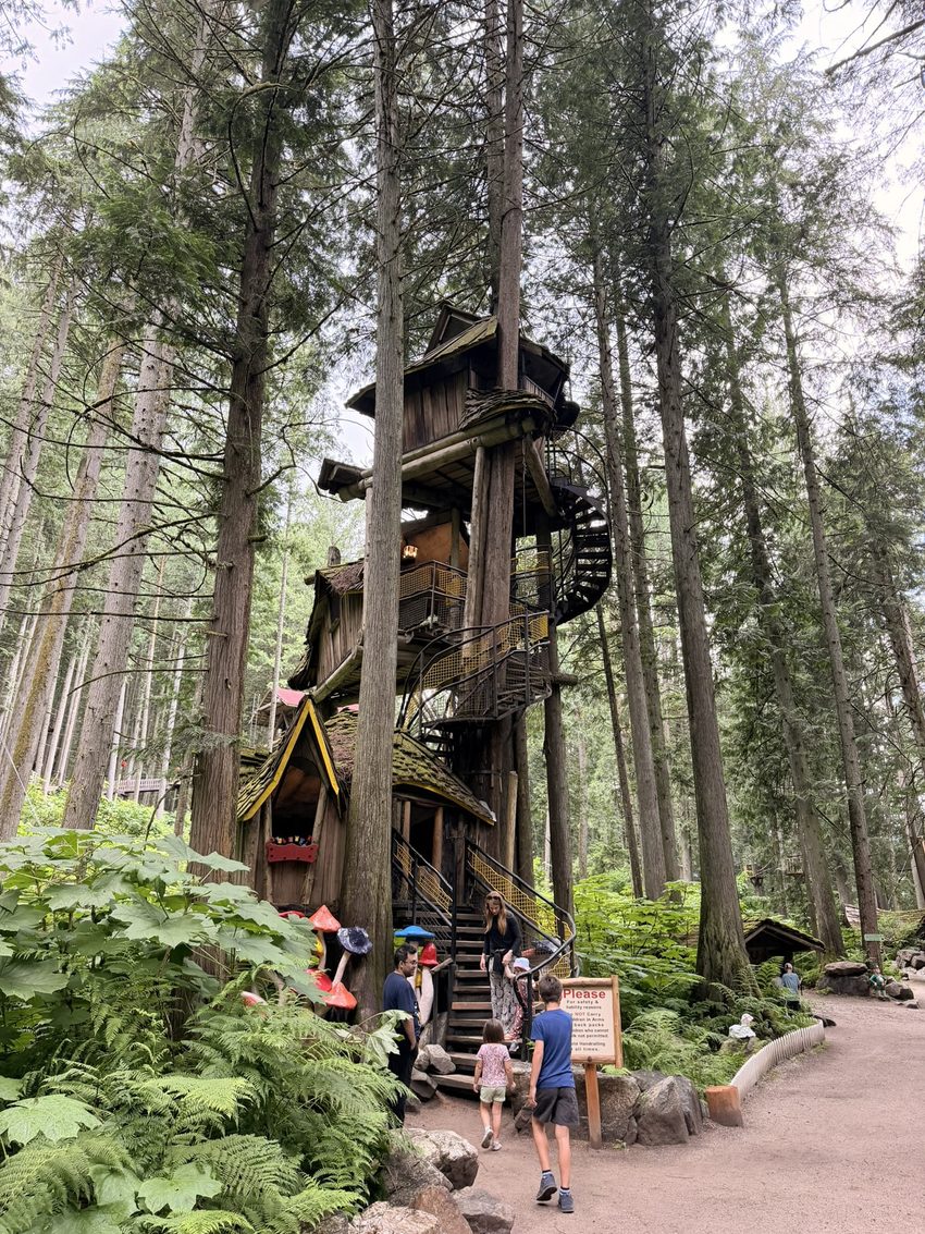 enchanted forest 8