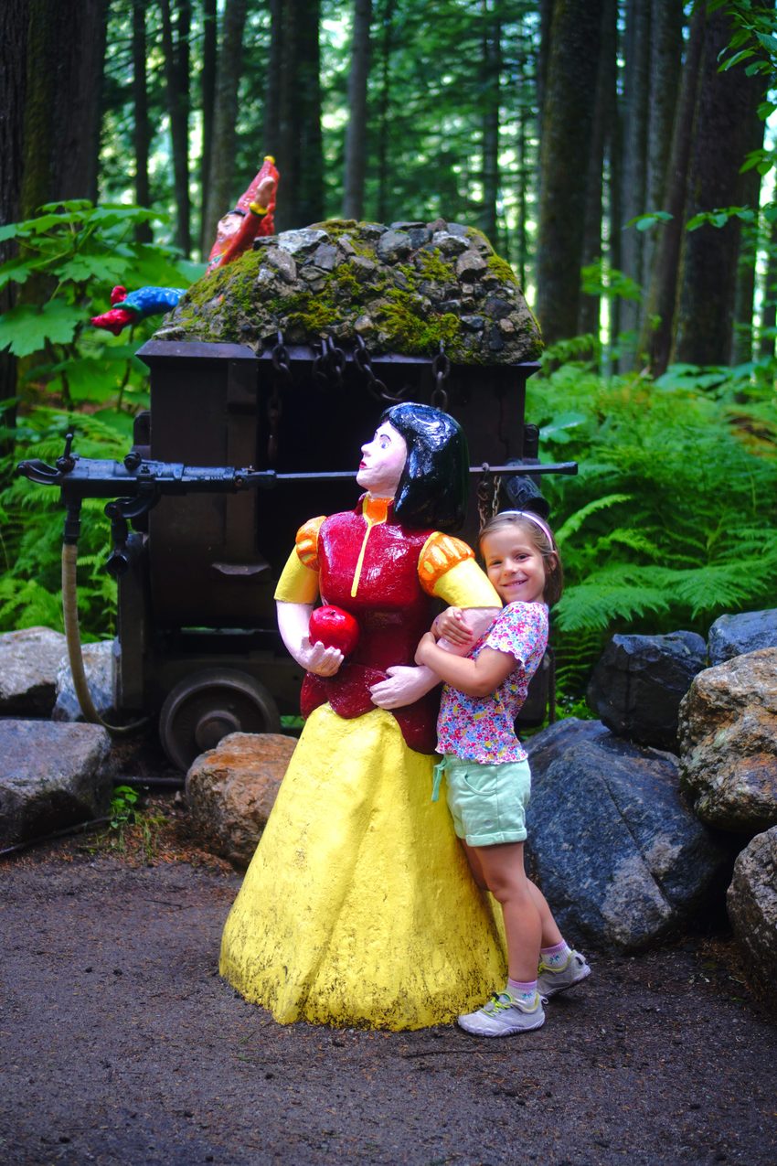 enchanted forest